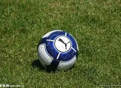 萨拉维亚,赞克,罗纳尔多心,博鱼体育官网,博鱼体育app,博鱼体育APP下载