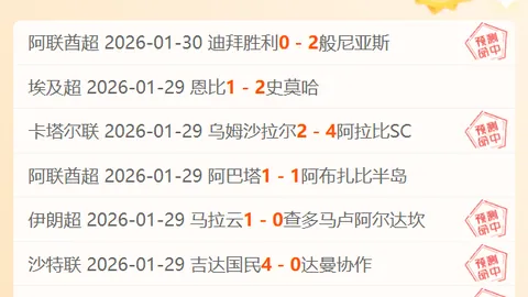 2025新春“游购乡村行”：寻宝乡村，共享佳节情